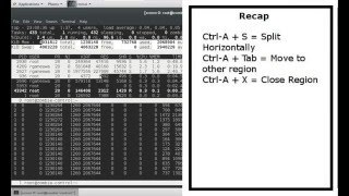 Intermediate Linux Screen  Split Screen in Linux [upl. by Adama]