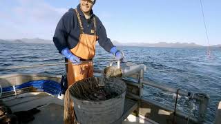 Setting Some Gear  Fall Halibut Fishing [upl. by Pegma249]