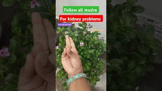 all major problems solve this mudras try this ytshorts mudra yogaasana yogamudrabenefits yoga [upl. by Sabu]