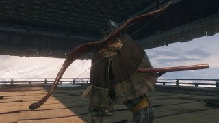 Sekiro Inner Genichiro PERSONAL RECORD NO HIT SPEEDRUN in 46 seconds with DRIP [upl. by Shewchuk]