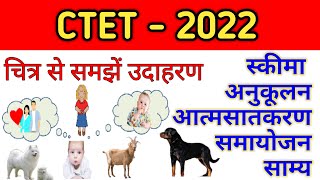 Schema  Anukulan Atmsatkaran Samayojan CTET 2022 Piaget पियाजे स्कीमा अनुकूलन समायोजन आत्मसात्करण [upl. by Ykciv]