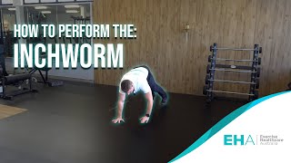 How to Perform The Inchworm [upl. by Ataymik302]