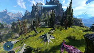 Flying a Wasp in Halo Infinite Campaign for 10 Minutes [upl. by Ahsenrad]