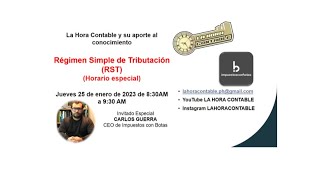 REGIMEN SIMPLE DE TRIBUTACION [upl. by Richer]