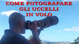 Fotografare gli uccelli al volo  LA GUIDA wildlifephotography wildlife [upl. by Ashok832]