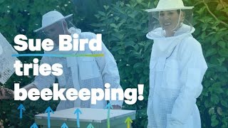 Symetra helps Sue Bird spread her wings in retirement by learning beekeeping from pro bee rescuers [upl. by Ayekan]