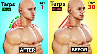 7 BEST EXERCISE TRAPS WORKOUT 🔥 [upl. by Rim330]