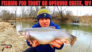 Fishing for Trout on Opequon Creek WEST VIRGINIA [upl. by Saval]