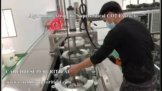 Agarwood Oil Extraction By Supercritical CO2 Extraction System [upl. by Wimsatt563]