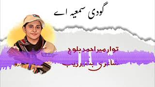 Martyr Sumayia Baloch New Song  Mir Ahmed Baloch [upl. by Aip]