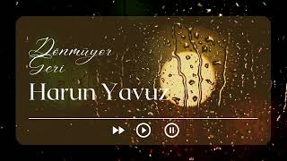 Dönmüyor Geri  Cover  Harun YAVUZ [upl. by Deina875]