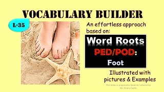 Word Roots Prefixes and Suffixes PED POD And Other Derived Words Vocabulary TV [upl. by Eneleuqcaj575]