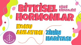 Bitki Biyolojisi 3  Bitkisel Hormonlar  Konu Anlatımı  12 Sınıf Biyoloji  AYT Biyoloji [upl. by Nyroc]