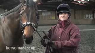 How to lunge a horse with a Chambon lunge device [upl. by Delano]