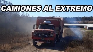 CAMIONES ARGENTINOS AL EXTREMO 🔥🇦🇷 [upl. by Wixted]