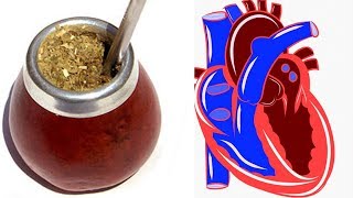 ✔ Los Increíbles Beneficios de la Yerba Mate  Como Hacer y Tomar MATE [upl. by Enetsirk]