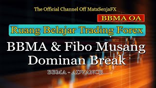 BBMA amp Fibo Musang Dominan Break [upl. by Nesto]