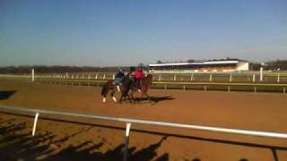 Laurel Park Racing 101 Workout [upl. by Letsirc]