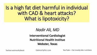 Dr Nadir Ali presentation High Fat Diets Heart Attacks and Lipotoxicity [upl. by Benjamin]