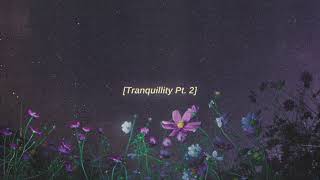 Tranquillity Pt 2  lofi hip hop beat FREE FOR PROFIT USE [upl. by Grayce]