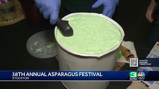 Everything you need to know about the 2024 San Joaquin Asparagus Festival [upl. by Ru229]