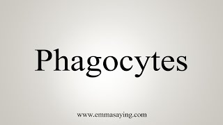 How To Say Phagocytes [upl. by Nnairrehs]