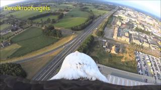 Eagle flight from balloon [upl. by Matthaus]