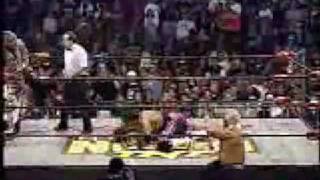 Sting amp The Ultimate Warrior Vs Bret Hart amp Hollywood Hogan [upl. by Popper417]