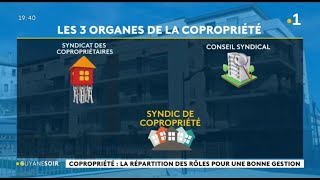 Copropriété  trois organes gèrent la copropriété [upl. by Krell]