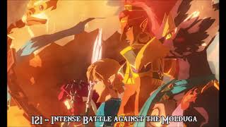 Intense Battle against the Molduga  Full Version   Hyrule Warriors Age of Calamity Soundtrack [upl. by Mallon418]