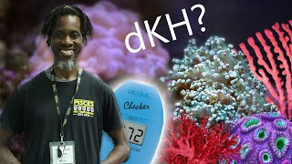 Testing Alkalinity in your Reef Aquarium with Hanna dKH Checker [upl. by Anaik]