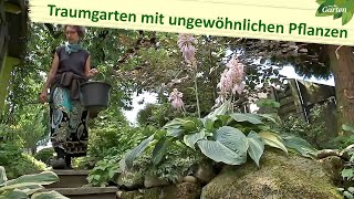 Ein Traumgarten voller ungewöhnlicher Pflanzen  MDR Garten [upl. by Romelle774]