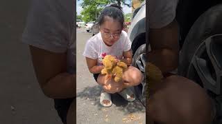 LNS  Giải cứu chó con dưới gầm ôtô  Rescue puppies from under car wheels shorts [upl. by Adnahcal867]