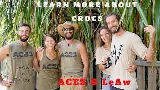 Learning more about crocodiles with ACES  Night Tour and Sanctuary in Belize  LeAw in Belize [upl. by Yremrej151]