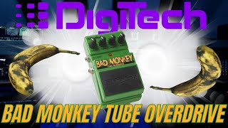 Digitech Bad Monkey Tube Overdrive [upl. by Sorgalim]