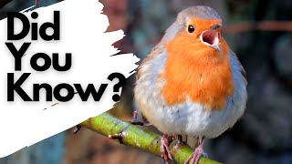 Things you need to know about ROBINS [upl. by Tremain]