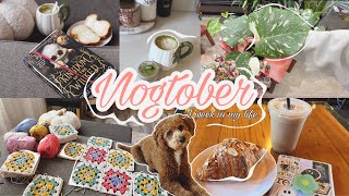 Neue Pflanzen 🪴 Solo Dates  Häkel Update  Hefezopf backen  Manhattan Trip  VLOGTOBER 🍂 VLOG [upl. by Haonam]