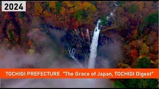 2024 The Grace of Japan TOCHIGI Digest [upl. by Sudaorb651]