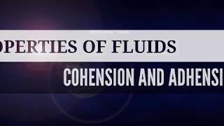 Properties of fluids cohesion and adhesion [upl. by Eadwina443]