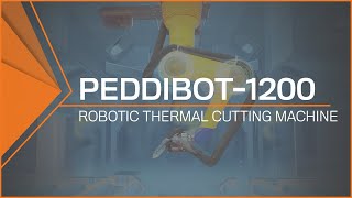 Robotic Thermal Cutting Machine  PeddiBot1200 Structural Robotics Done Right [upl. by Aillil752]