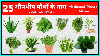 औषधीय पौधों के नाम  Meadical plants name  Ayurvedic Plants name and uses  Plants name [upl. by Niklaus765]