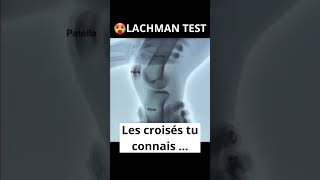 GENOU TEST Ligament croisé antérieur LACHMAN douleurgenou genou mouvement anatomie genoux [upl. by Crispen]