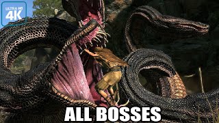 Dragons Dogma  All Bosses  True Ending With Cutscenes 4K 60FPS UHD PC [upl. by Ettezyl]