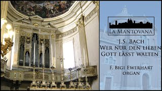 JS Bach Wer nur den lieben Gott lässt walten BWV 642 [upl. by Leira]