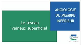 Angiologie du membre inférieur Le réseau veineux superficiel [upl. by Chappie670]