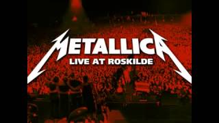 Metallica Orion Roskilde July 6 2013 [upl. by Pet]