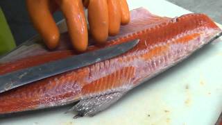 How to professionally fillet a salmon [upl. by Anikram678]