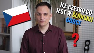 7 Śląskich Słów Które Pochodzą z Czeskiego [upl. by Sanalda]