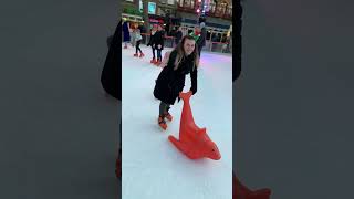 Fun Ice Skating Moments in Amsterdam  Learning with a Seal [upl. by Washington283]