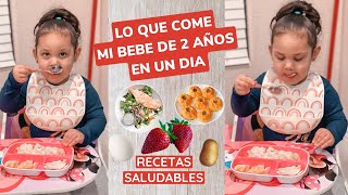 IDEAS DE COMIDAS PARA BEBES  NIÑOS O TODDLERS  TRES RECETAS PARA CUALQUIER COMIDA DEL DIA [upl. by Eak]